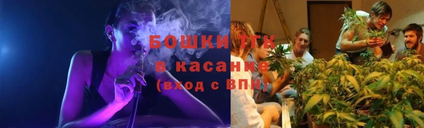 мет Арсеньев
