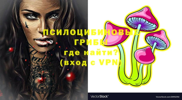 мет Арсеньев