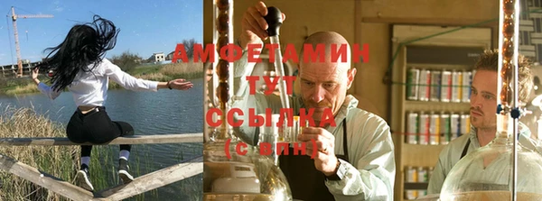 мет Арсеньев