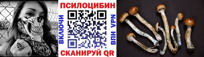 Псилоцибиновые грибы мицелий  mega tor  Пролетарск 