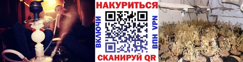 Шишки марихуана марихуана  сколько стоит  kraken ссылки  дарк нет телеграм  Пролетарск 